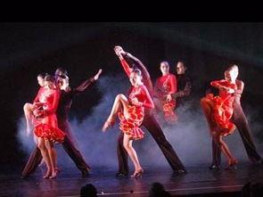 舞剑成人舞蹈教学视频,成人舞蹈教学视频精彩回顾