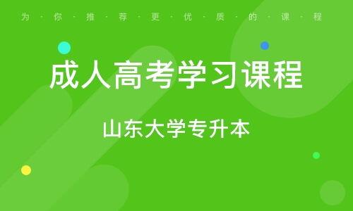 成人高考网课程视频,视频内容深度解析与学习技巧