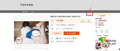 美国成人手机视频,揭秘现代社交新趋势