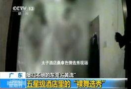 最大的成人视频网站,内容、影响与争议全解析