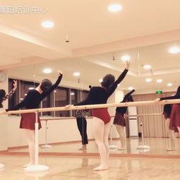 小河舞蹈成人舞蹈视频大全,成人舞蹈视频大全，舞动人生精彩瞬间