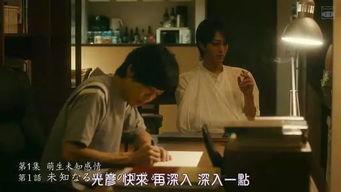 在线成人欧美老司机视频,成人世界中的激情与诱惑