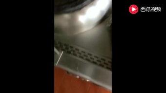 成人卖汤圆歌曲视频大全,欢歌笑语满人间——成人卖汤圆歌曲视频大全赏析