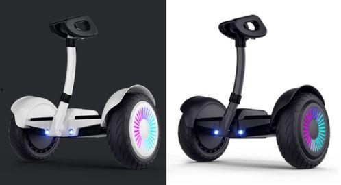 成人平衡车骑行视频,跟随视频轻松掌握平衡艺术