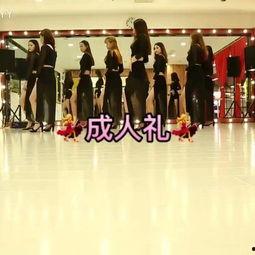 成人舞蹈小哥哥视频下载,揭秘成人舞蹈小哥哥热门视频下载攻略