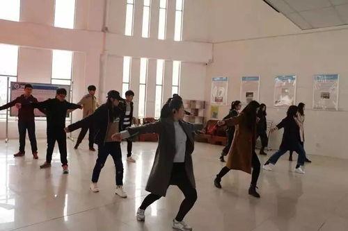 成人舞蹈小哥哥视频下载,揭秘成人舞蹈小哥哥热门视频下载攻略