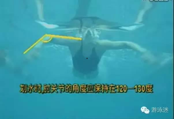 成人学蛙泳游泳视频教学,从零基础到畅游水中的蜕变之旅