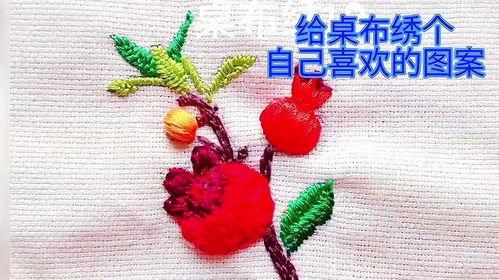 尊享成人刺绣教程视频,尊享教程视频精华解析