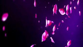 成人天空舞蹈视频教学,轻松入门舞蹈世界