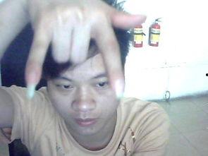 成人手球比赛的视频播放