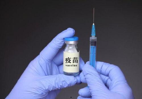 紧急成人疫苗怎么打视频,紧急成人疫苗接种操作视频详解